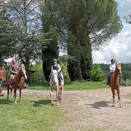 All'Antico Silbule Capolona Bagian luar foto