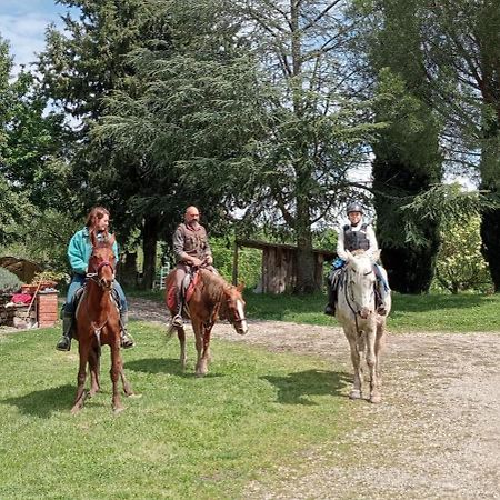 All'Antico Silbule Capolona Bagian luar foto