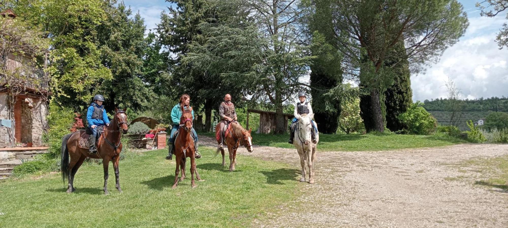 All'Antico Silbule Capolona Bagian luar foto