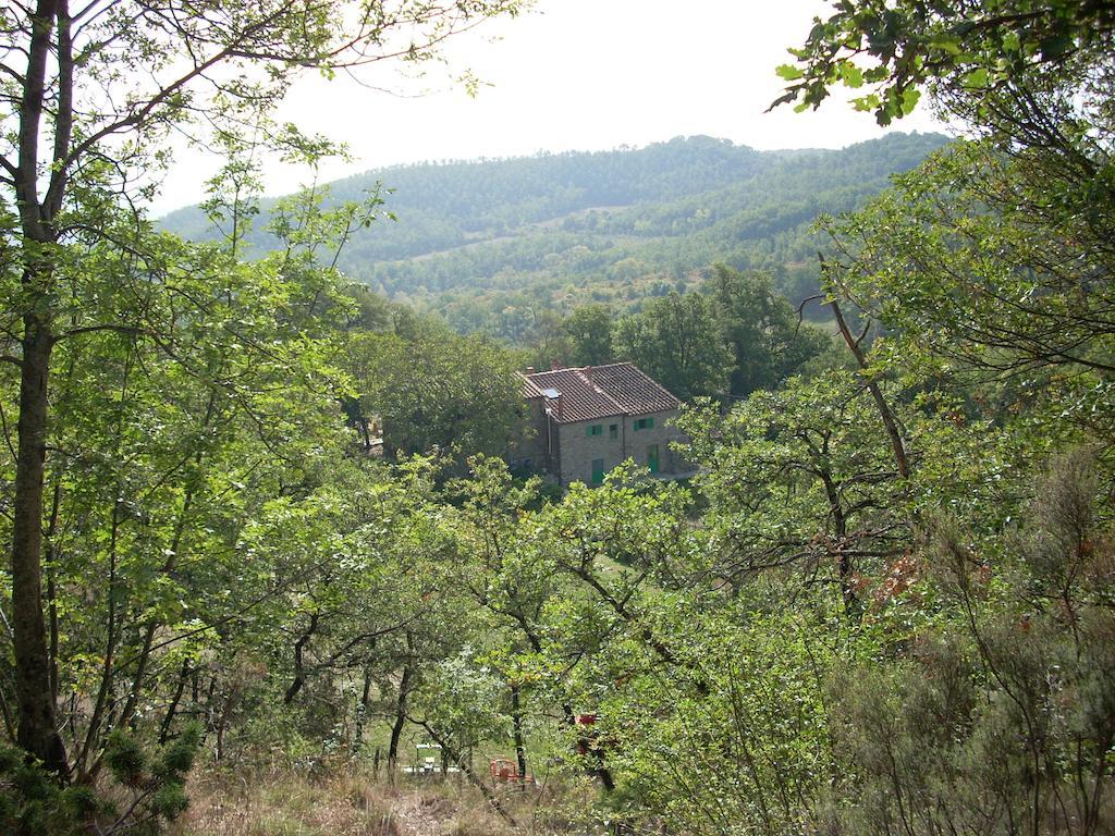 All'Antico Silbule Capolona Bagian luar foto